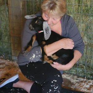 Meet your Posher, Laurie